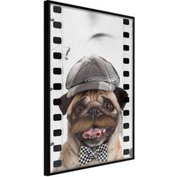 Arkiio Affisch Pug In Hat [Poster] 30x45 Poster